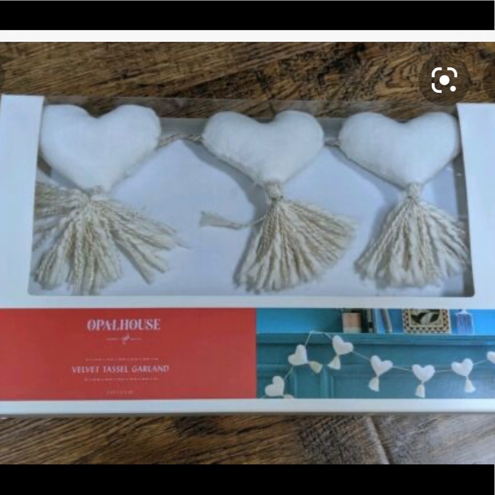 ISO *** target opalhouse heart tassel garland